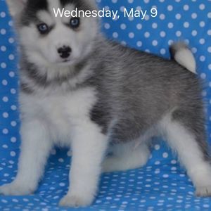 Meet your Posher, Kaitlyn